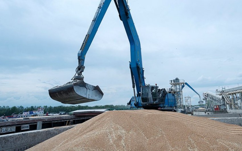 Algeria bars France from wheat import tender as relations sour, sources say