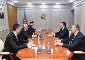 Али Асадов встретился с министром иностранных дел Грузии