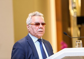 Ziyad Səmədzadə: İstehsalda inhisar xoşagələn deyil, amma başa düşüləndir