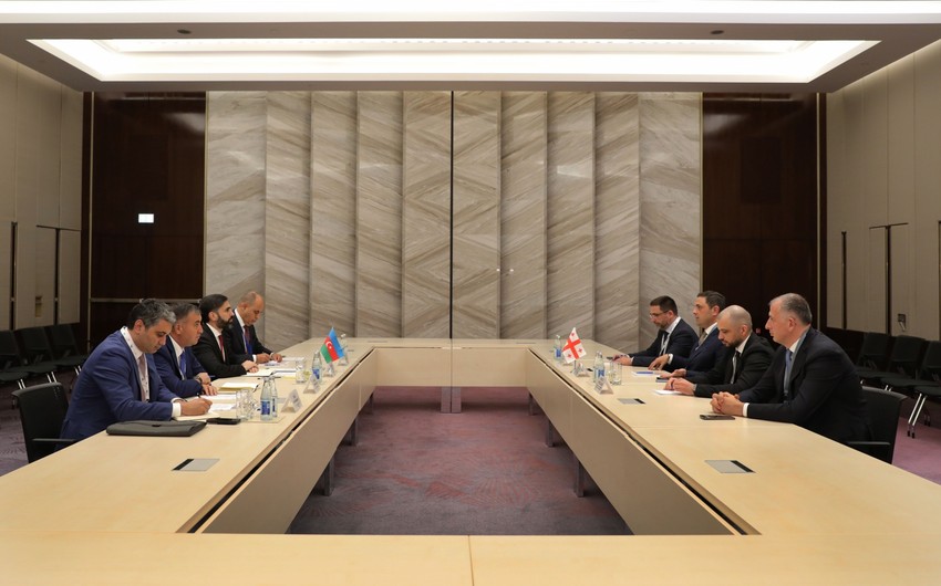Azerbaijan, Georgia discuss energy cooperation