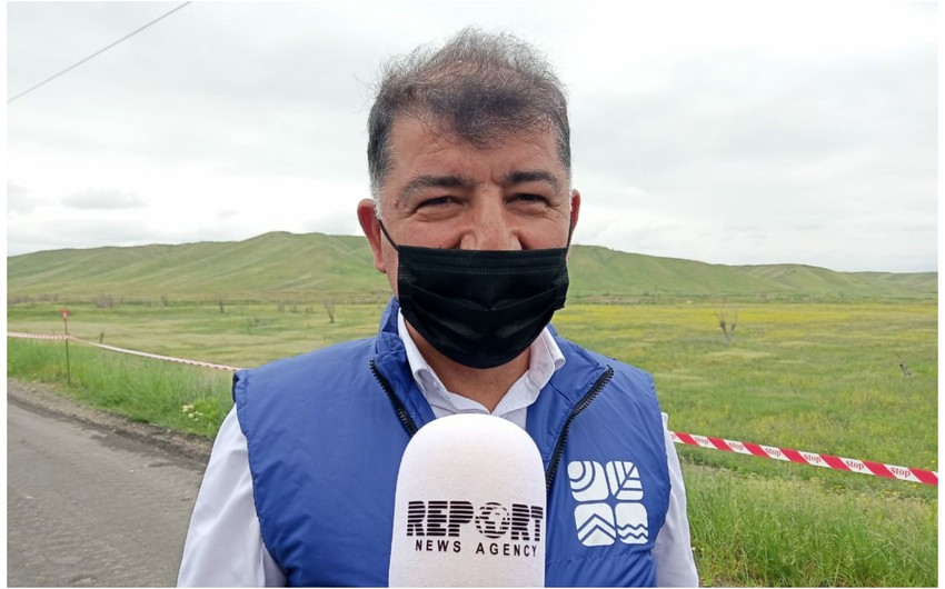 Nazir müavini: Meşə ilə örtülü sahənin 54 min hektarını ermənilər məhv edib 