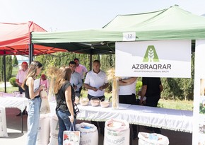 Seeds fair held in Azerbaijan's Aghjabadi district