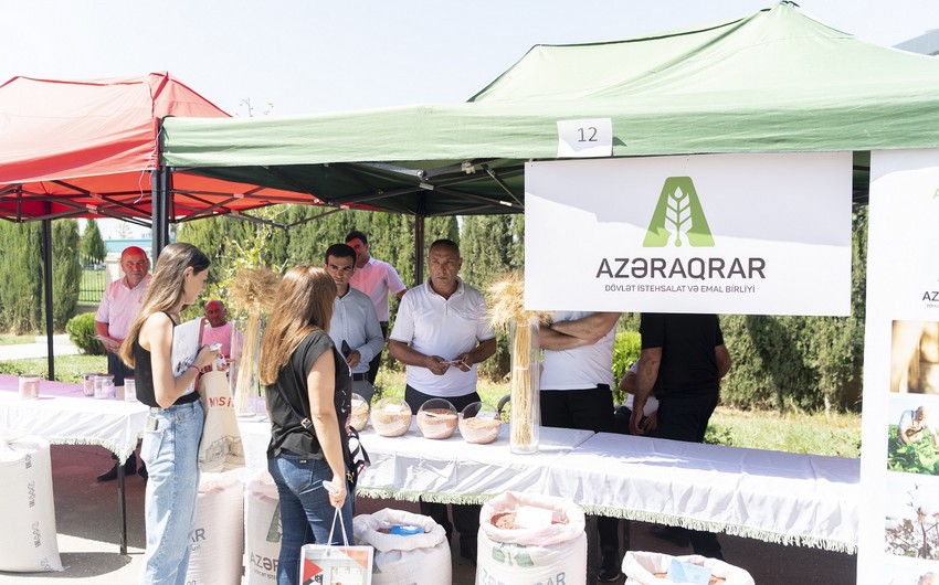 В Агджабеди прошла выставка-ярмарка семян