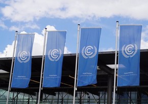 COP29: Важно коллективно добиться прогресса по основным направлениям Парижского соглашения