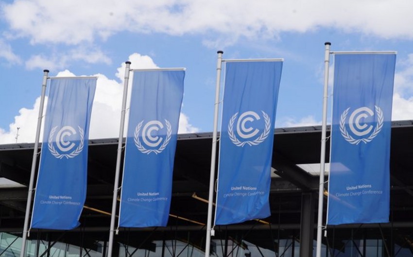 COP29: “Paris Sazişi”nin əsas istiqamətləri üzrə kollektiv şəkildə irəliləyişə nail olmaq vacibdir