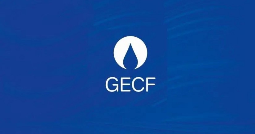 GECF and OPEC discuss joint steps to combat climate change at COP29