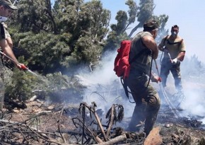 Azerbaijan, Turkiye to hold joint exercises to fight wildfires