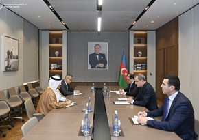 Azerbaijani FM receives new Qatari ambassador