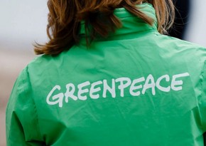 Greenpeace призывает на COP29 добиться увеличения финансирования развивающихся стран 