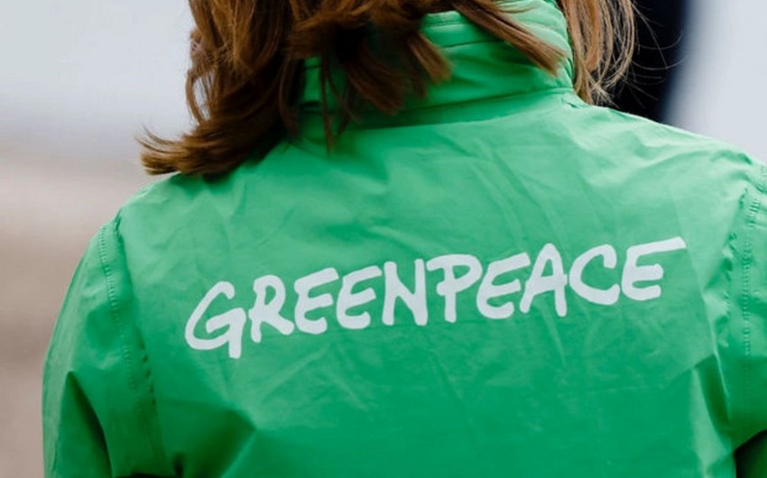 Greenpeace призывает на COP29 добиться увеличения финансирования развивающихся стран 