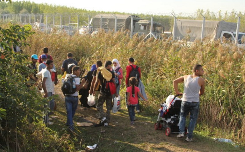 ЕК опасается увеличения притока беженцев в ЕС из-за боев в Сирии