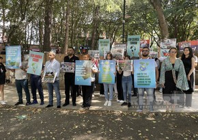 Азербайджанцы провели мирную акцию перед офисом ООН в Грузии