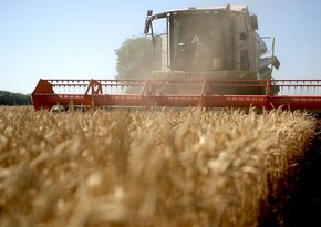 Israel to provide Azerbaijan with technology for growing wheat