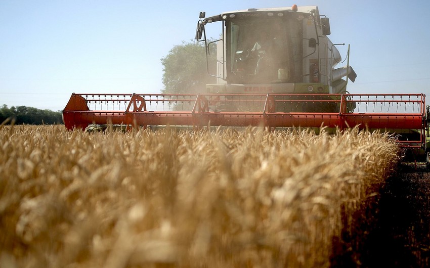 Israel to provide Azerbaijan with technology for growing wheat