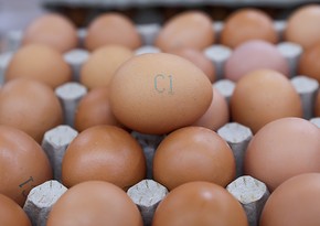 Egg prices in US soar by 35% in just six months