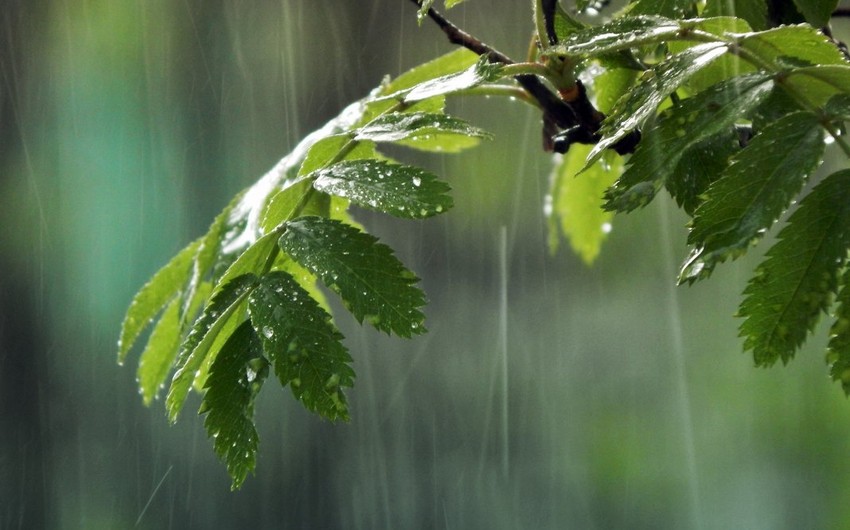 Ecology Ministry predicts heavy rains in Azerbaijan
