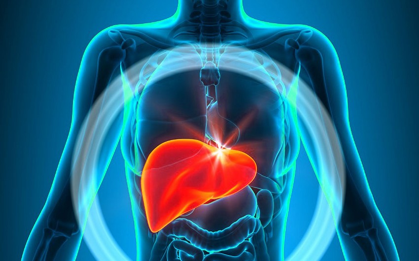 Scientists reveal three liver destructive habits
