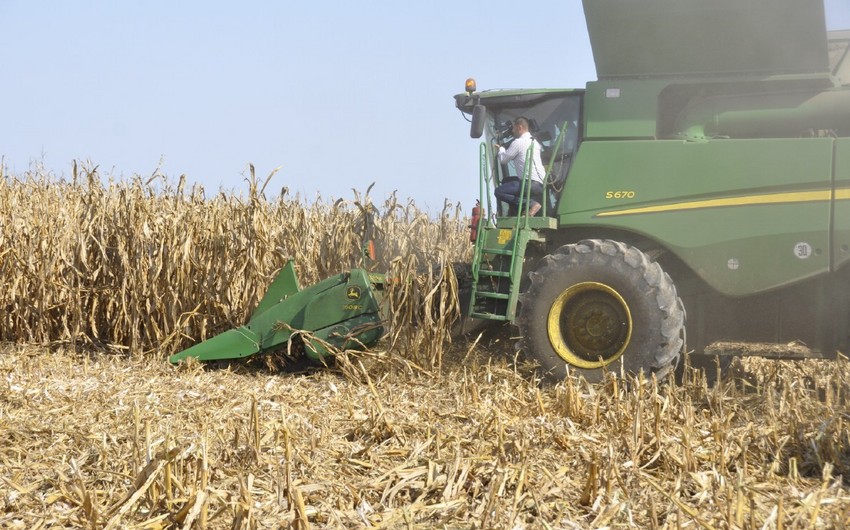 В Евросоюзе спрогнозировали объем экспорта зерна из Украины в июне