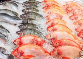 Azerbaijan improts 20 tons of frozen fish from Russia's Rostov Oblast 