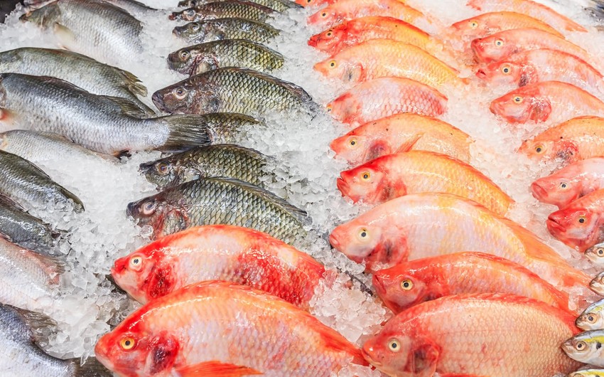 Азербайджан импортировал из Ростова 20 тонн замороженной рыбы