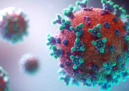 24 августа в США будет готов отчет спецслужб о происхождении коронавируса