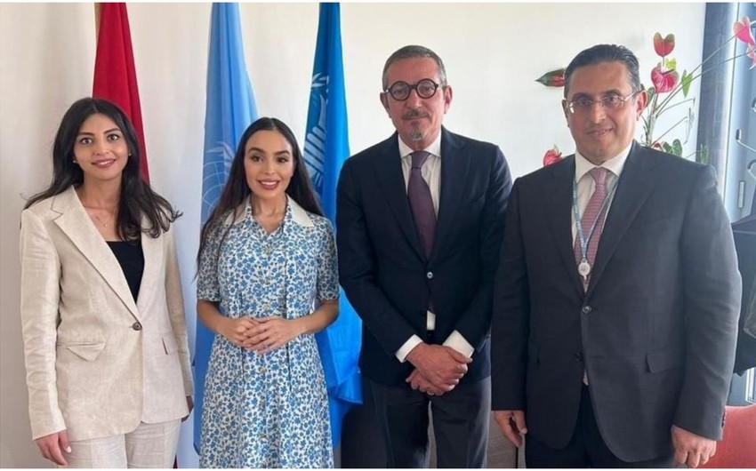 Лейла Алиева провела встречи в офисе ООН в Швейцарии