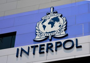 German citizen wanted by Interpol detained in Azerbaijan