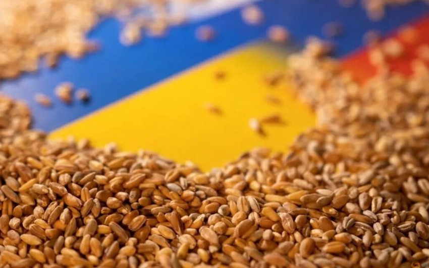 ​​​​​​​Из украинских портов отправили более 21 млн тонн продовольствия