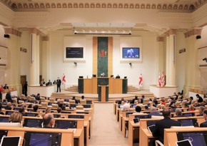 Парламент Грузии изберет нового вице-спикера