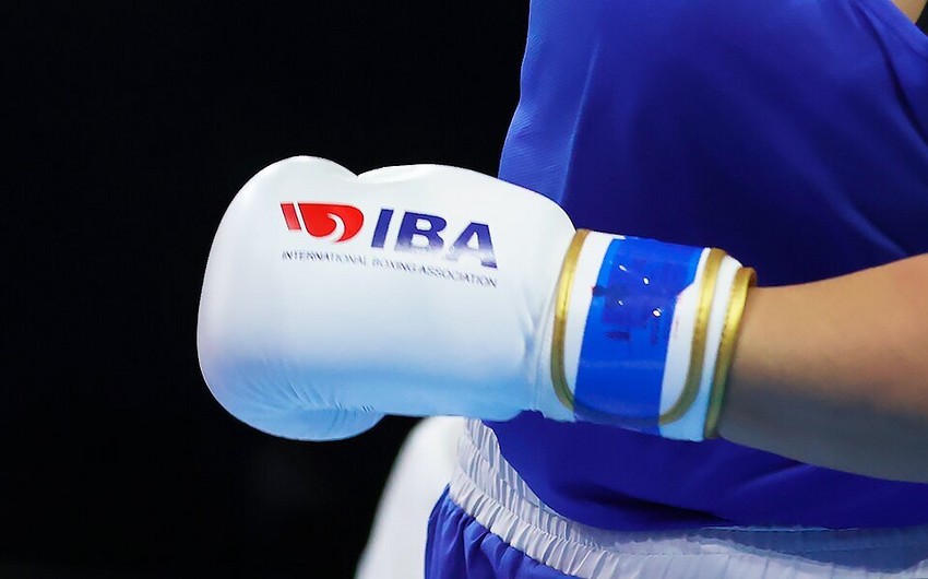 Федерация бокса Ирландии решила остаться в Международной ассоциации бокса