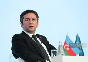 Azerbaijan intends to actively contribute to development of NDC by 2025