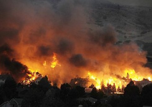 В Дагестане растет площадь лесных пожаров