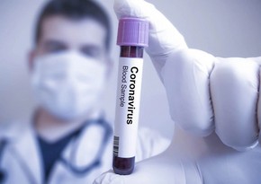 В Азербайджане за сутки 53 человека заразились коронавирусом, шестеро скончались