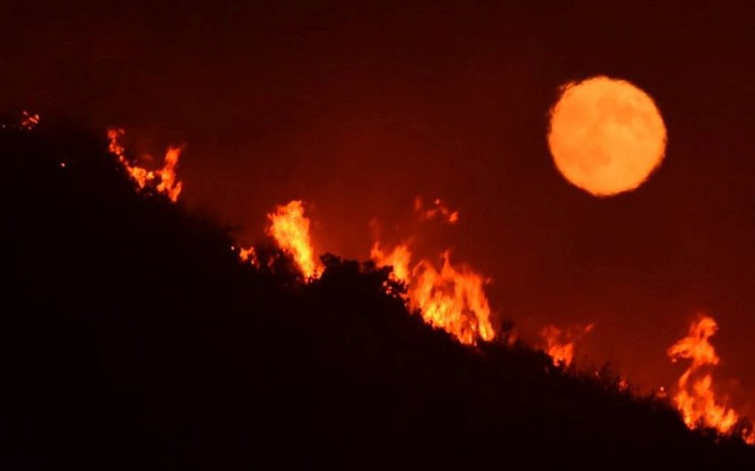 Из-за пожаров в Калифорнии эвакуированы тысячи человек