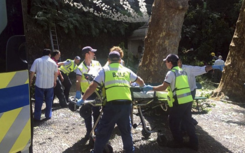 В результате падения дерева на Мадейре погибли 12 человек