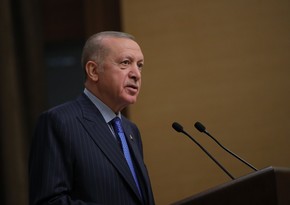 Erdogan says Turkiye not supportive of Finland, Sweden's NATO bid
