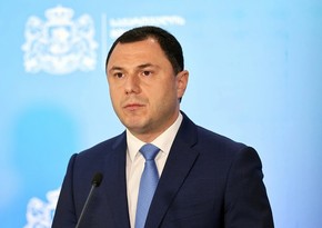 Georgian minister of science and education arrives in Azerbaijan