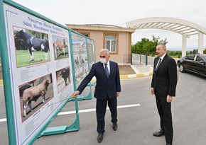 Artificial Insemination Center launched in Nakhchivan