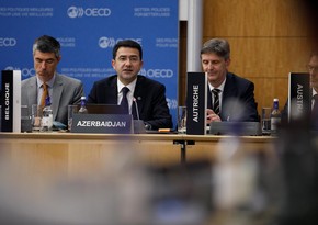 Azərbaycan OECD DAC-ın iclasında inkişafa yardım və iqlim maliyyəsi məsələlərini vurğulayıb