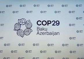 COP29 Könüllülük Proqramına qeydiyyat başa çatıb - YENİLƏNİB