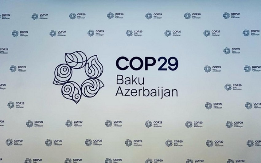 COP29 Könüllülük Proqramına qeydiyyat başa çatıb - YENİLƏNİB