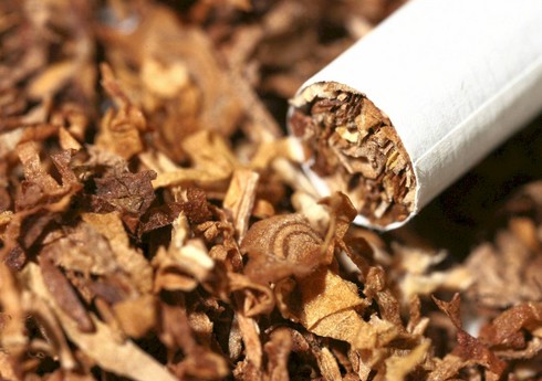 Azərbaycan Türkiyədən tütün alışını 22 %-dən çox azaldıb