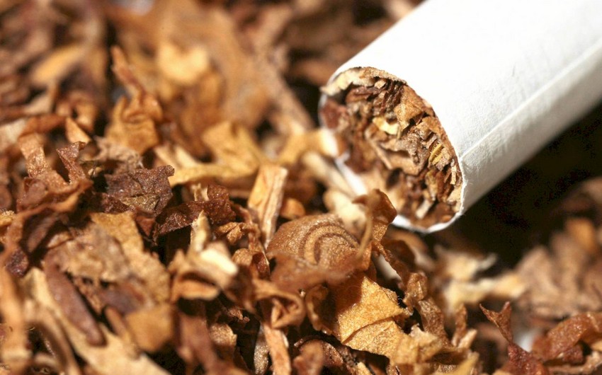 Azerbaijan triples revenues from tobacco exports 