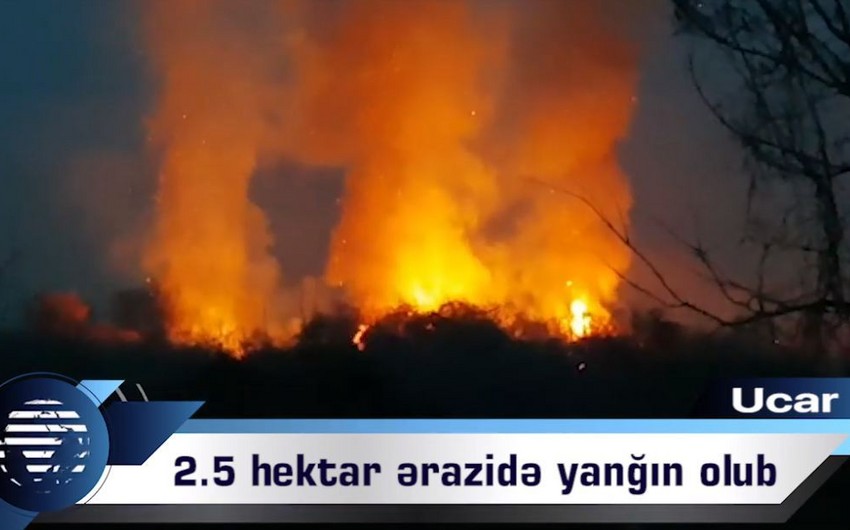 В Уджарском районе вспыхнул пожар - ВИДЕО