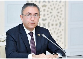 В Ереване депутат ММ призвал Армению уважать территориальную целостность соседей