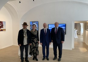 Спецпредставитель президента Азербайджана посетил в Вене выставку Резы Дегати
