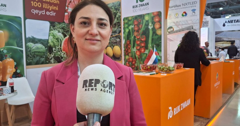 Торговая миссия Нидерландов совершит визит в Азербайджан