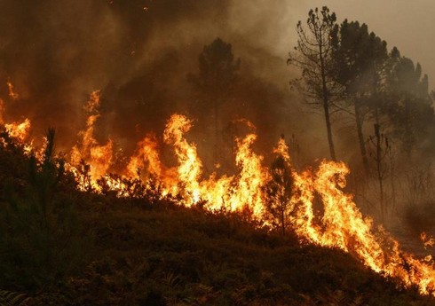 В Якутии площадь лесных пожаров превышает 760 тыс. га