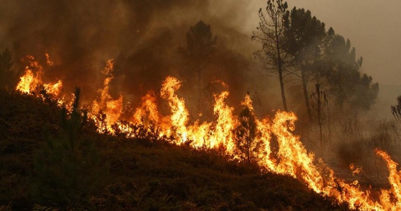 В Якутии площадь лесных пожаров увеличилась до 912 тыс. га