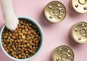 Azerbaijan’s pet food imports to rise by over 40% by 2027